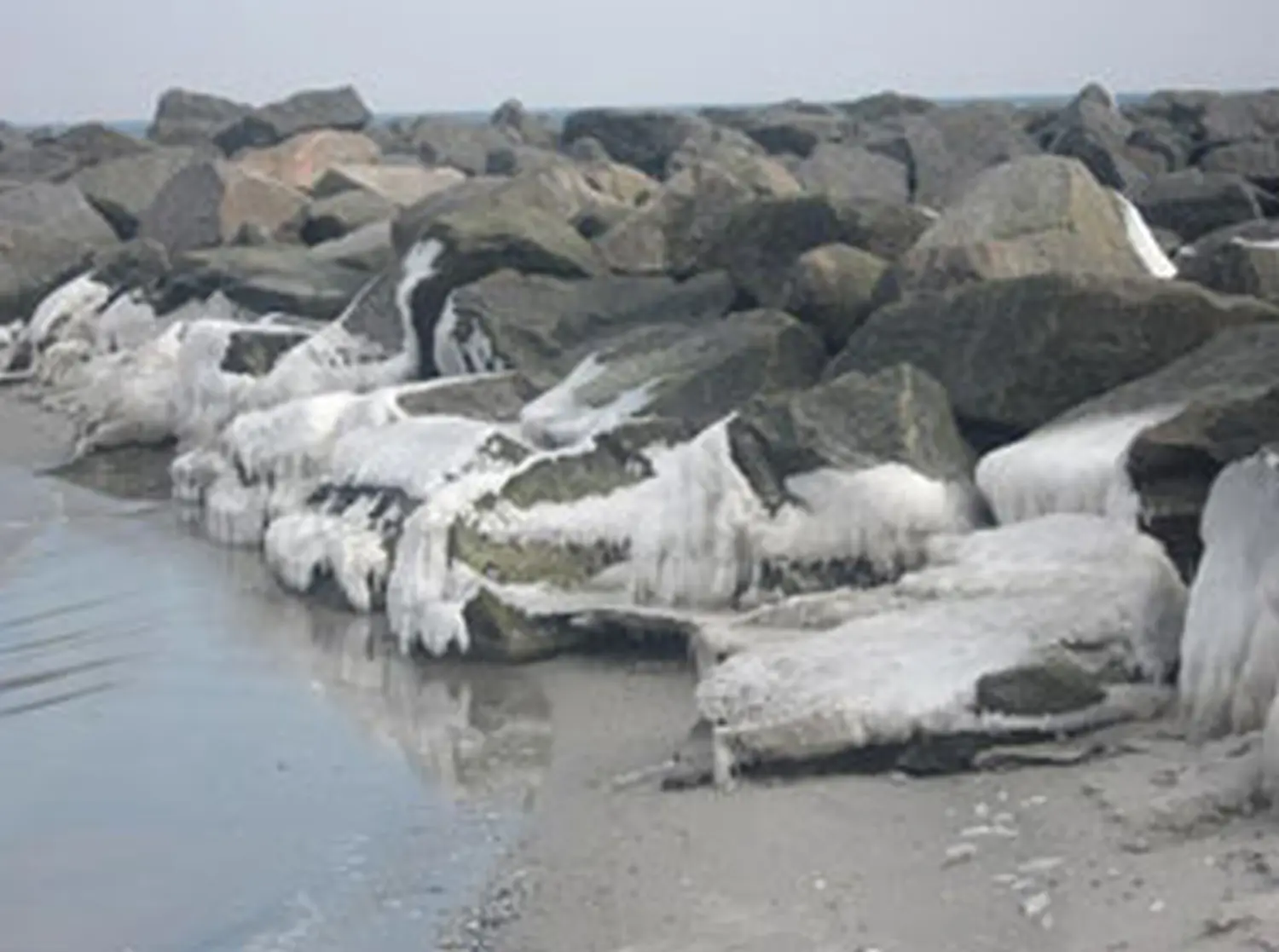 Hundeschule Lupus An der Ostsee - Februar 2011