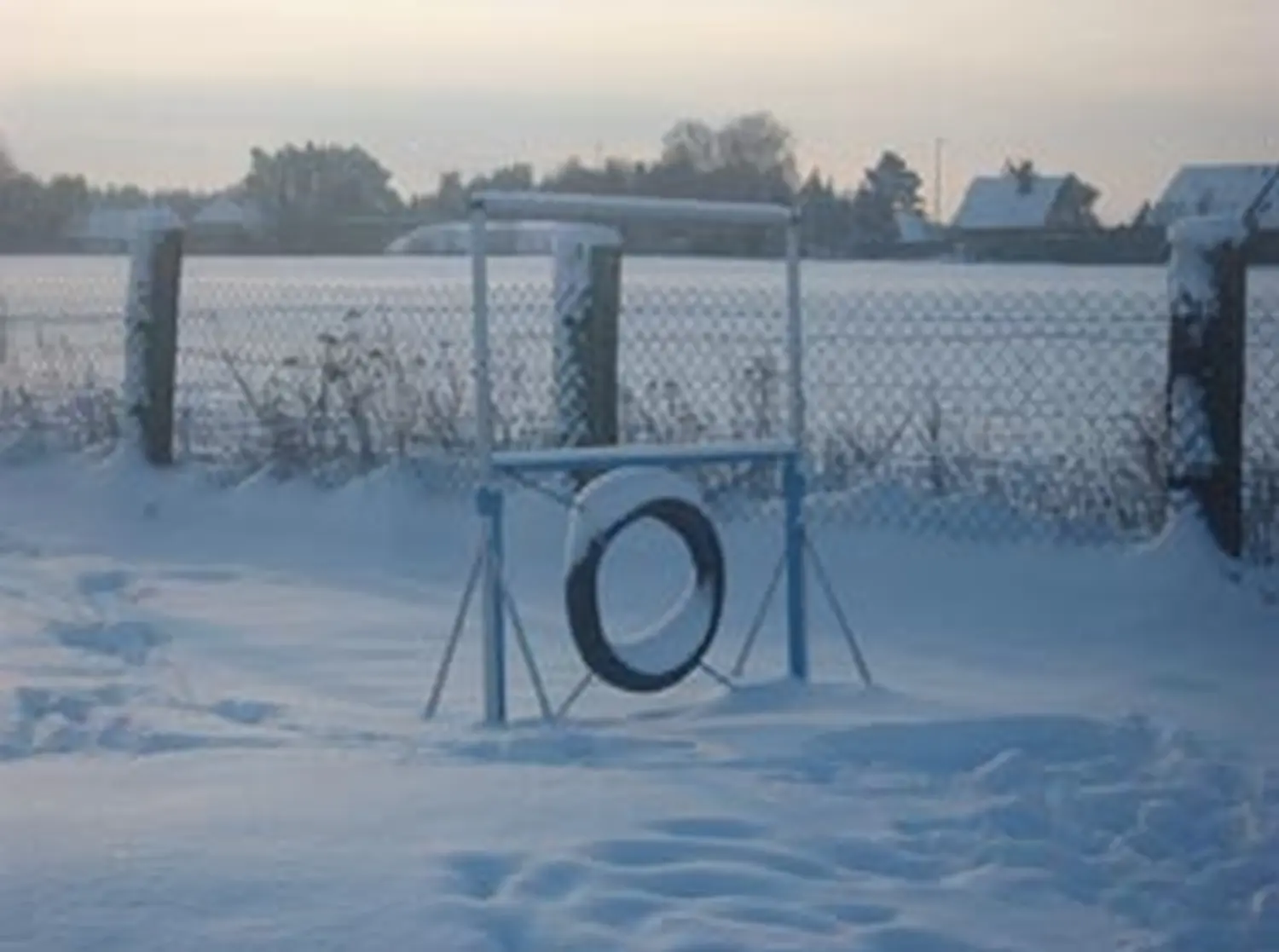 Hundeschule Lupus Winter 2009/2010