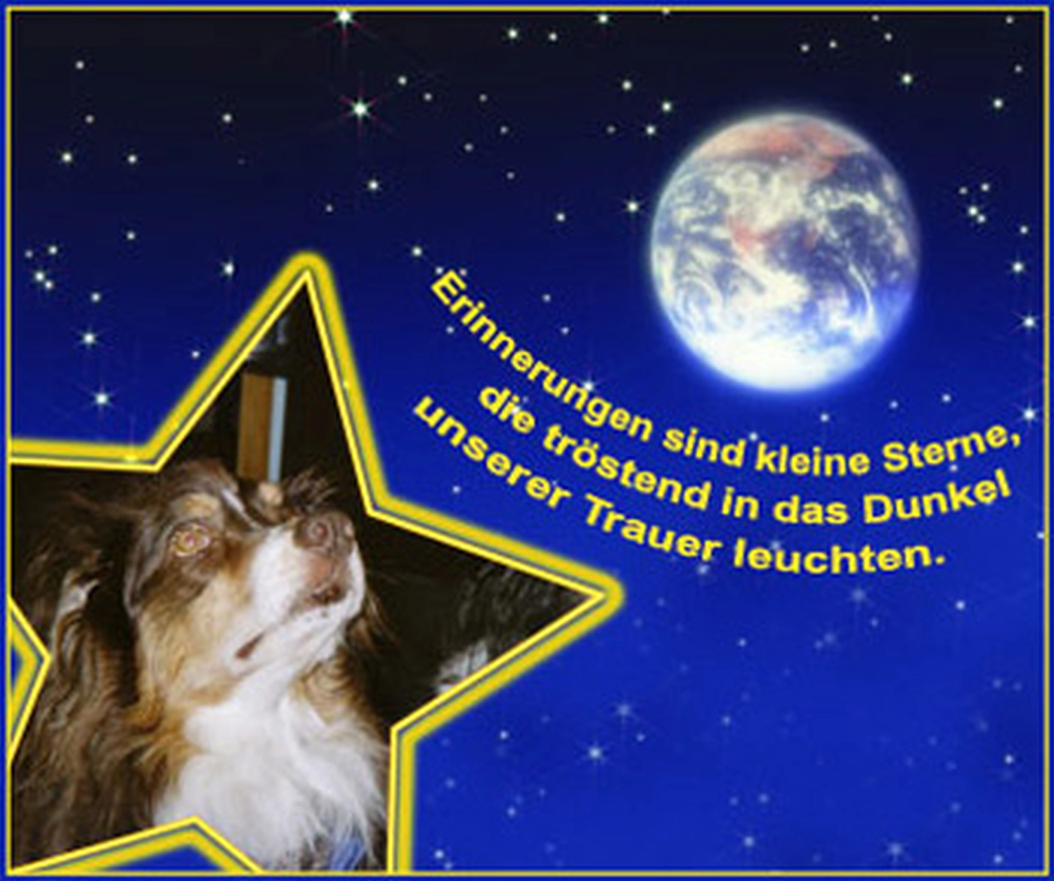 Hundeschule Lupus fine