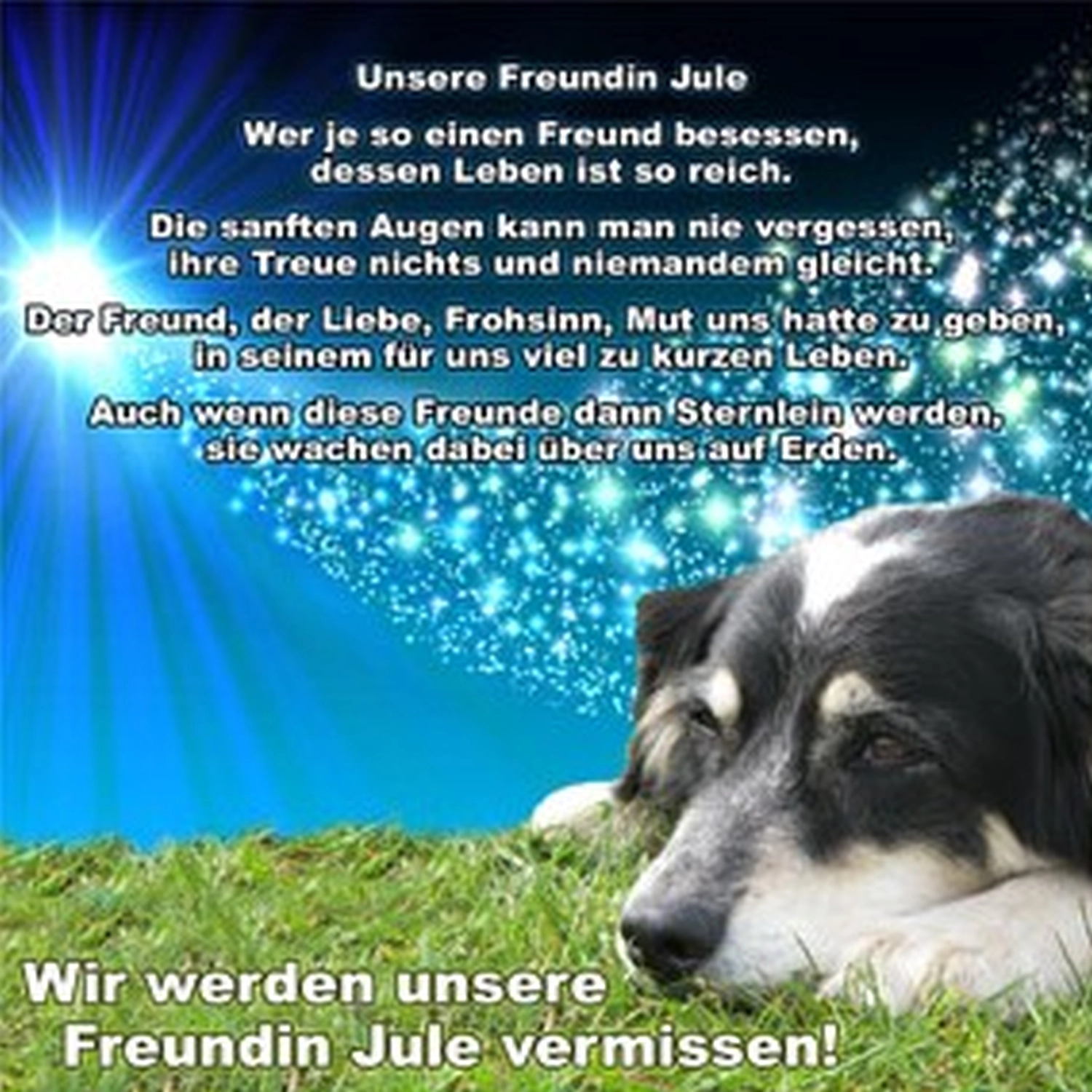 Hundeschule Lupus jule