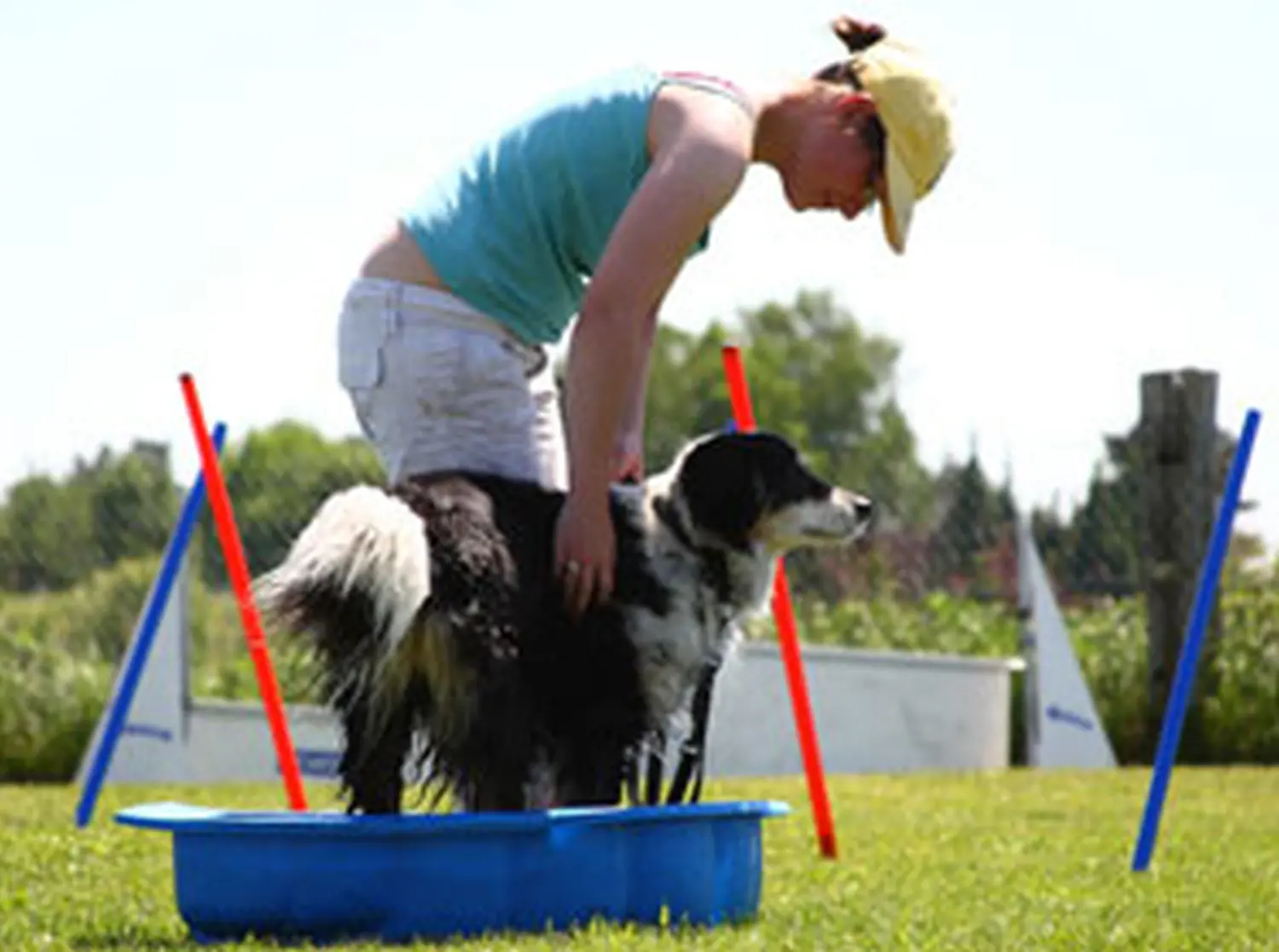Hundeschule Lupus Sommer 2010